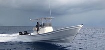 25' Panga Boats for Sale