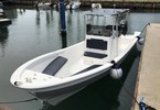 25' Panga Boats for Sale