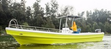 26' Panga Boats for Sale