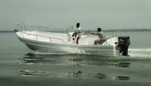 22' panga boat