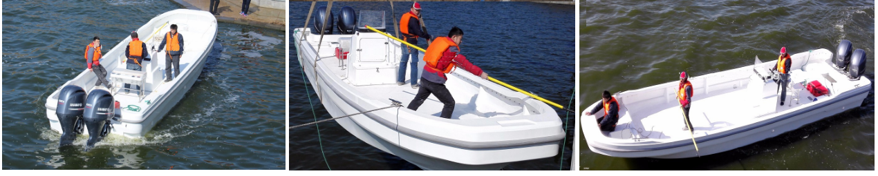 31 panga boat for sale image